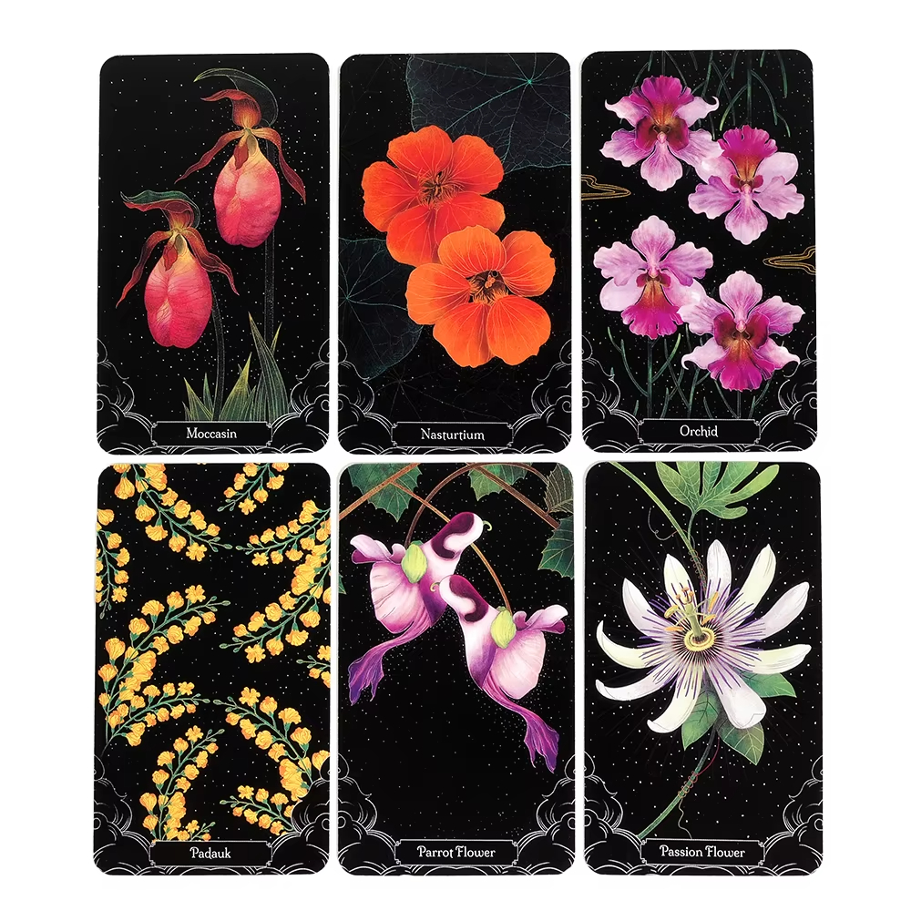A Little Rain Botanical Oracle - Graded Card Display ulasan dan harga