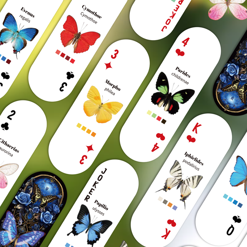 Mr.Paper Table Card Game 54/Bo - Graded Card Display ulasan dan harga