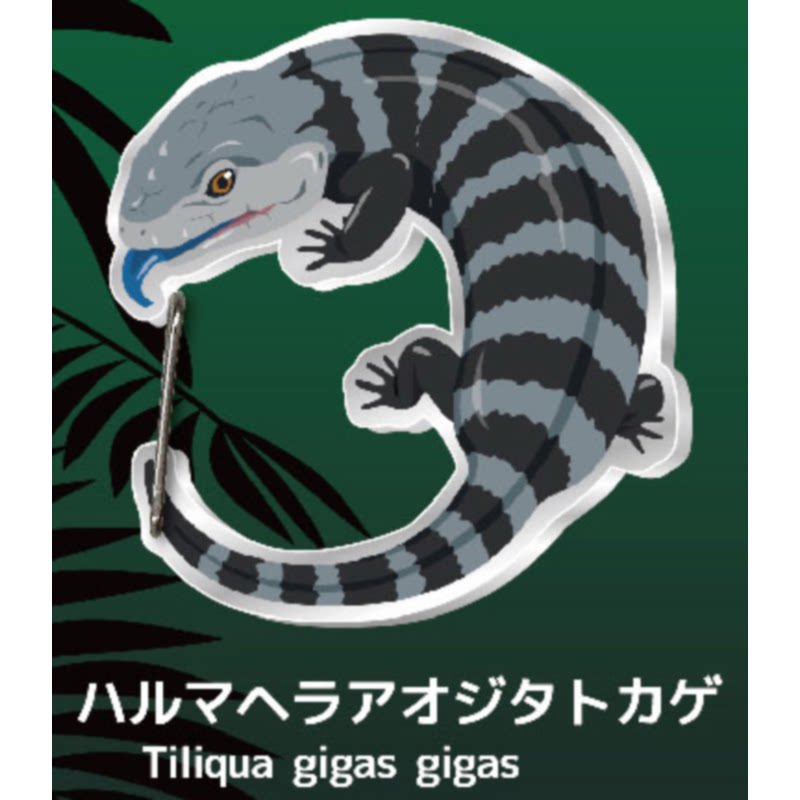 Gecko Lover Carabiner Gashapon - Capsule Toy Gashapon ulasan dan harga